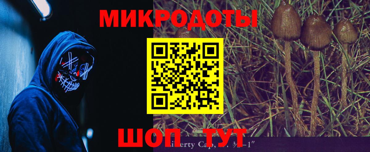Лыткарино  Псилоцибиновые грибы мухоморы  Псилоцибиновые грибы Psilocybe  Вход с VPN 